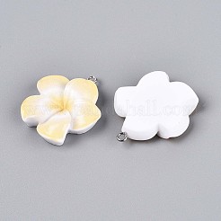 Подвески из непрозрачной смолы&nbsp;RESI-T059-05F