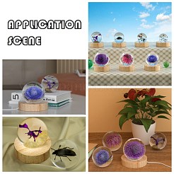 Diy круглый хрустальный шар дисплей украшения силиконовые Молды X-DIY-F107-01D