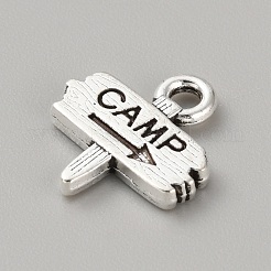 Pendentif en alliage&nbsp;FIND-WH0423-01AS