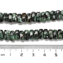 Fili di perline naturali di turchese africano (diaspro) tinti&nbsp;G-Q167-B23-01