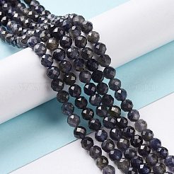 Perline iolite naturale fili&nbsp;G-P488-02A