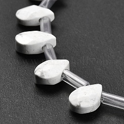 Природные Говлит бисер нитей G-Q167-A19-02