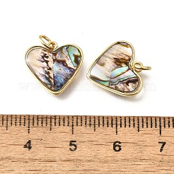 Подвески из натуральной ракушки пауа и эпоксидной смолы KK-E794-02G-05