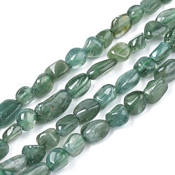 Chapelets de perles en apatite naturelle, pépites, 4~10x4~7x3~6mm, Trou: 1mm, Environ 54~56 pcs/chapelet, 15.35 pouce (39 cm)
