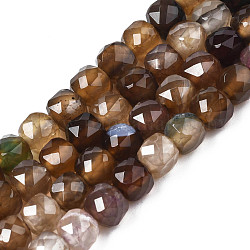 Chapelets de perles d'agate naturelle, facette, teinte, facette, cube, brun coco, 5x5.5x5.5mm, Trou: 1mm, Environ 61~62 pcs/chapelet, 12.20 pouce ~ 12.40 pouces (31~31.5 cm)
