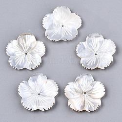 Perlas de concha de nácar de concha blanca natural, tallado, flor, blanco cremoso, 24x24x2~3mm, agujero: 1.2 mm