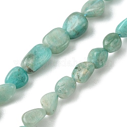 Chapelets de perles en amazonite naturelle, forme de pépites, pierre roulée, 6x8mm, Trou: 1mm, Environ 59 pcs/chapelet, 15.55'' (39.5 cm)