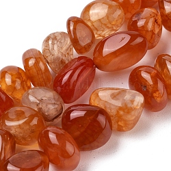 Chapelets de perles d'agate naturelle, pierre roulée, teints et chauffée, pépites, rouge-orange, 8~16x9~13x9~12mm, Trou: 1.4mm, Environ 36~42 pcs/chapelet, 14.96 pouce (38.0 cm)