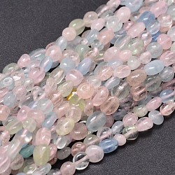 Morganite naturelle perles de puce brins, pierre roulée, 4~7x4~5mm, Trou: 1mm, environ 15.5 pouce
