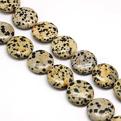 Natural Flat Round Dalmatian Jasper Beads Strands, 20x7~9mm, Hole: 1mm, about 20pcs/strand, 15.74 inch