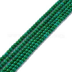 Abalorios de turquesas sintéticas hebras, teñido, redondo, verde oscuro, 3mm, agujero: 1 mm, aproximamente 136 pcs / cadena, 15.75~15.91 pulgada (40~40.4 cm)