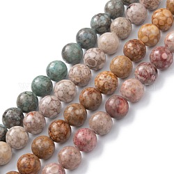 Натуральный камень майфанит / майфан, окрашенные, круглые, разноцветные, 8 мм, отверстие : 1.2 мм, около 47 шт / нитка, 15.55'' (39.5 см)