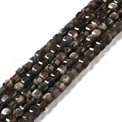 Natürliche silberglänzende Obsidian-Perlenstränge, facettiert, Würfel, 3x3x3 mm, Bohrung: 0.6 mm, ca. 135 Stk. / Strang, 15.35'' (39 cm)