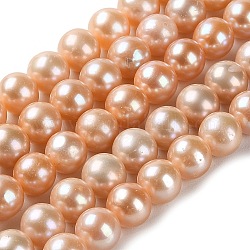 Chapelets de perles de nacre naturell, ronde, niveau 4a+, peachpuff, 7.5~8mm, Trou: 0.5mm, Environ 52 pcs/chapelet, 15.87'' (40.3 cm)