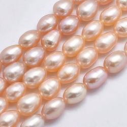Fili di perle di perle d'acqua dolce coltivate naturali, riso, salmone chiaro, 6~9x5~6mm, Foro: 0.8 mm, circa 48pcs/filo, 13.78 pollice (35 cm)