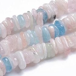 Chapelets de perles en morganite naturelle, puce plate, 11~17x9~11x2~4mm, Trou: 0.9mm, Environ 124 pcs/chapelet, 15.75 pouce (40 cm)