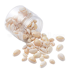 Perles de coquillage cauri naturelles, couleur de coquillage, 14~20x20~23x9~13mm / 10~19x7~12x5~10mm, Trou: 1~2mm, 120 g / boîte