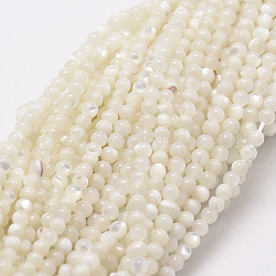 Perles de coquillage blanc naturel, brins de perles en nacre, ronde, 2mm, Trou: 0.5mm, Environ 190 pcs/chapelet