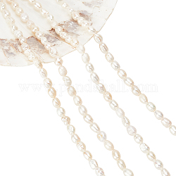 Nbeads 1 Strang natürliche Süßwasserzuchtperlen Perlenstränge, Oval, beige, 3.5~6x2~3 mm, Bohrung: 0.8 mm, ca. 68~70 Stk. / Strang, 13.78~14.17 Zoll (35~36 cm)