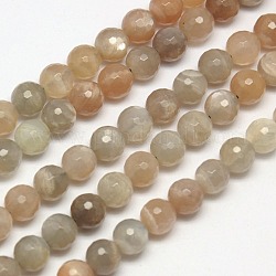 Brins de perles naturelles multi-pierre de lune, facette, ronde, 10mm, Trou: 1mm, Environ 39 pcs/chapelet, 15.7 pouce