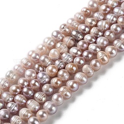 Hebras de perlas de agua dulce cultivadas naturales, patata, grado a +, marrón rosado, 5.5~7x6~6.5mm, agujero: 0.7 mm, aproximamente 53~54 pcs / cadena, 12.99~13.15 pulgada (33~33.4 cm)