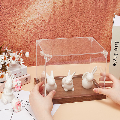 Прозрачные акриловые витрины AJEW-WH0475-57-1