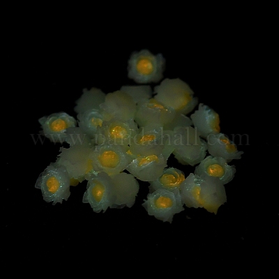 Светящаяся смола декодирует кабошоны RESI-K036-06G-1