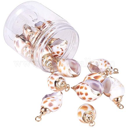 PandaHall Elite 15pcs Spiral Shell Pendants Electroplate Conch Shell Jewelry Charms Ocean Beach Sea Shell Dangle Beads for Nautical Ocean Summer Jewelry Craft Making Home Decor BSHE-PH0003-18-1