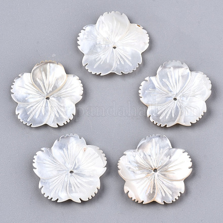 Perlas de concha de nácar de concha blanca natural X-SSHEL-N032-18-1
