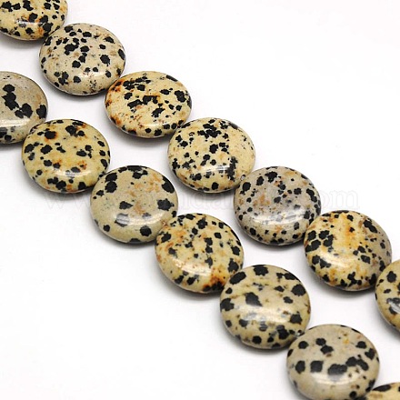 Natürliche flache runde Dalmatiner Jaspis Perlen Stränge G-L246-11-1