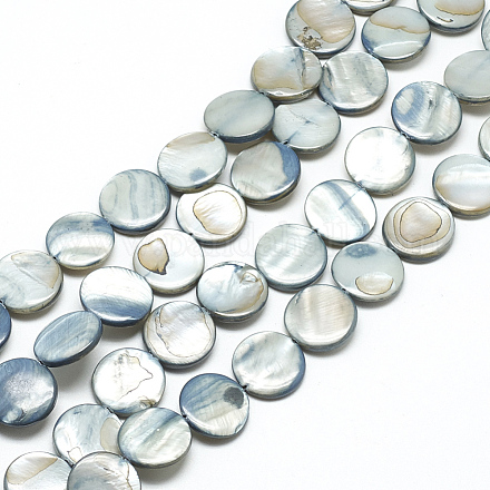 Chapelets de perles de coquillage naturel PBB251Y-3-1