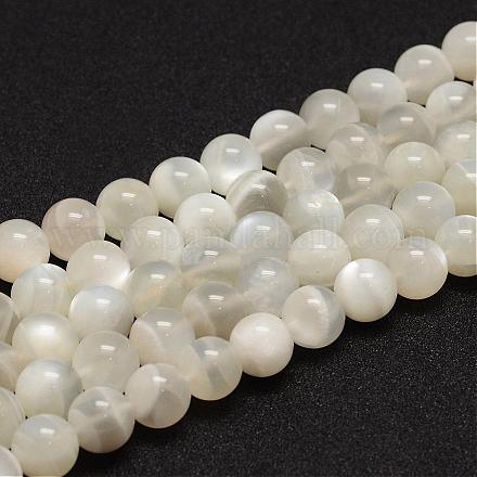 Natural White Moonstone Beads Strands G-F306-05AB-10mm-1