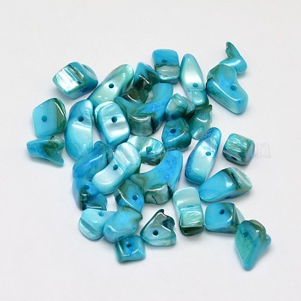 Copeaux de perles en coquille d'eau douce naturelle teinte SHEL-O001-12D-1