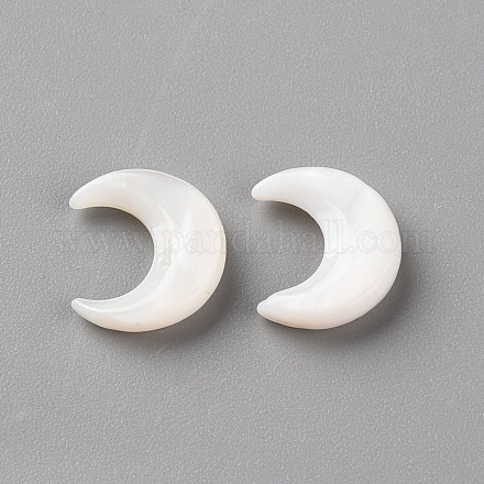 Perles de coquillage blanc naturel SSHEL-Q311-004A-02-1