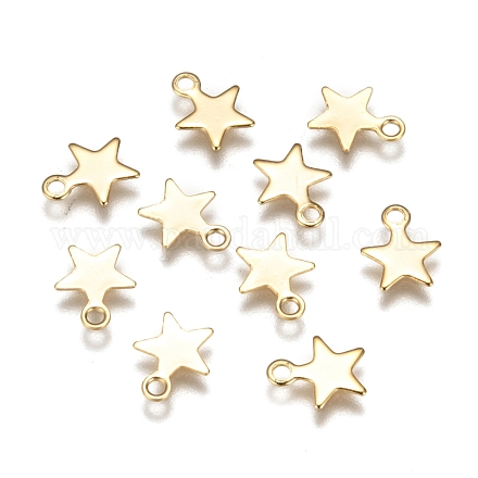 304 charms in acciaio inox STAS-F159-43G-1