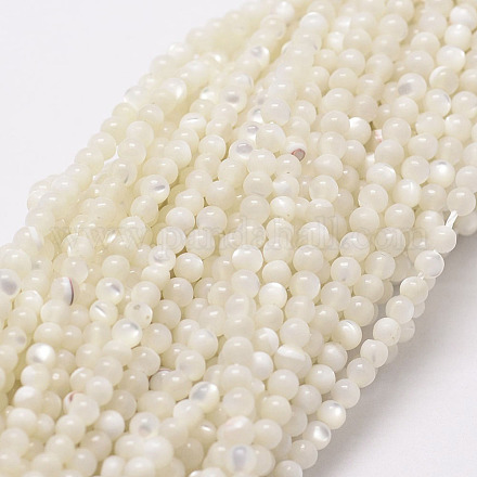 Perles de coquillage blanc naturel G-N0190-11-2mm-1