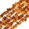 Natural Amber Chip Beads Strands, 5~14x4~10mm, Hole: 1mm, about 15 inch~16.1 inch