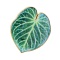 Leaf Enamel Pins, Golden Alloy Brooches for Backpack Clothes, Spring Green, 29x25mm