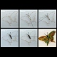 Ensembles de kit d'art de chaîne de bricolage de modèle de papillon DIY-F070-14-6