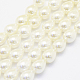Shell Pearl Beads Strands BSHE-P024-05-1