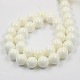 Natural White Shell Beads Strands X-BSHE-E002-02-8mm-3