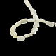 Nuggets natürliche Perlenstränge aus Trochidenmuschel/Trochusmuschel SSHEL-F290-10-2