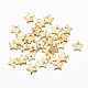 304 charms in acciaio inox STAS-H557-25G-1