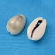 Natürliche Kaurimuschel Perlen X-BSHE-S047-2