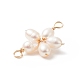 Natural Cultured Freshwater Pearl Connector Charms PALLOY-JF02025-3