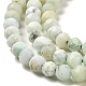 Natural Green Opal Beads Strands G-Z035-A02-02A-4