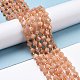 Natural Peach Moonstone Beads Strands G-P463-22-2
