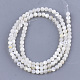 Natural White Shell Beads X-SHEL-T012-49B-2