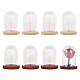 Nbeads 12 set de mini cloches à dôme en verre AJEW-NB0005-23-1