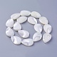 Chapelets de perles de coquillage SSHEL-E571-23E-2